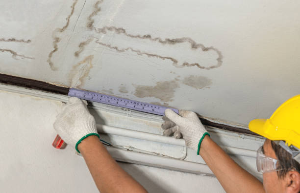 Affordable Water Damage Repair solutions in Mexia, TX